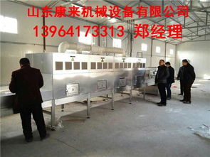 微波葡萄干殺菌設備 技術原理、優勢與專業服務解析